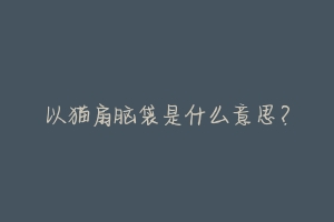 以猫扇脑袋是什么意思？-动物百科