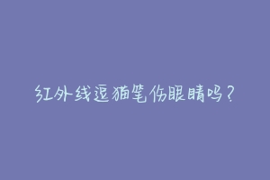 红外线逗猫笔伤眼睛吗？-动物百科