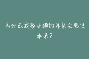 为什么我家小猫的耳朵会甩出水来？-动物百科
