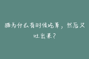 猫为什么有时候吃草，然后又吐出来？-动物百科