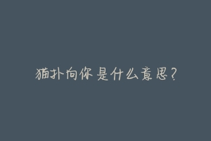 猫扑向你是什么意思?-动物百科