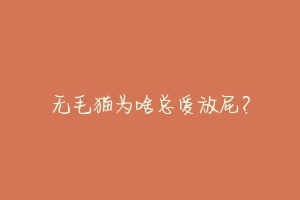 无毛猫为啥总爱放屁?-动物百科