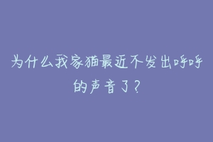 为什么我家猫最近不发出呼呼的声音了？-动物百科