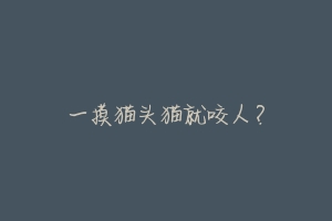 一摸猫头猫就咬人？-动物百科
