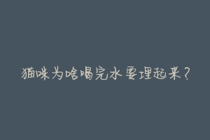 猫咪为啥喝完水要埋起来？-动物百科