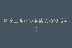 猫咪正常呼吸和腹式呼吸区别？-动物百科
