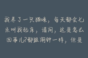 我养了一只猫咪，每天都会七点叫我起床，请问，这是怎么回事儿?都跟闹钟一样，但是周末就不叫了？-动物百科