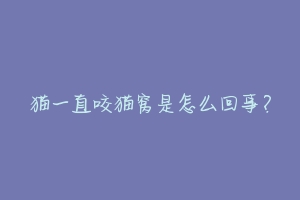 猫一直咬猫窝是怎么回事?-动物百科
