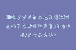 猫嗓子发出象马达轰鸣(好象是机车启动那种声音,呼噜呼噜)是什么意思?-动物百科