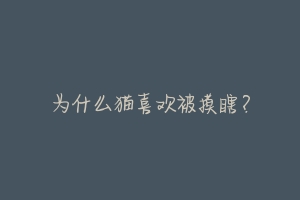 为什么猫喜欢被摸瞎?-动物百科