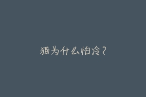猫为什么怕冷?-动物百科