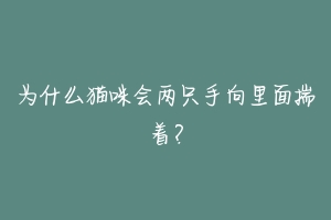 为什么猫咪会两只手向里面揣着?-动物百科