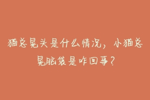 猫总晃头是什么情况,小猫总晃脑袋是咋回事?-动物百科