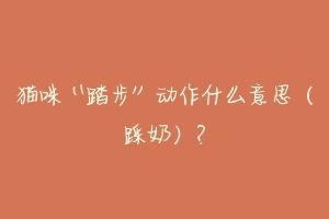 猫咪“踏步”动作什么意思(踩奶)?-动物百科