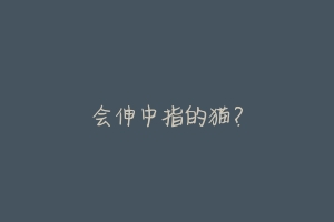 会伸中指的猫?-动物百科