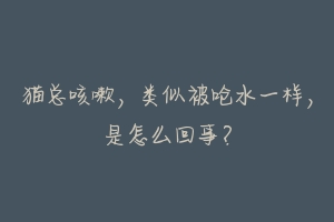 猫总咳嗽,类似被呛水一样,是怎么回事?-动物百科