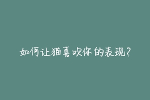 如何让猫喜欢你的表现?-动物百科