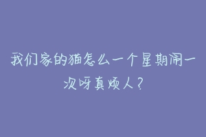 我们家的猫怎么一个星期闹一次呀真烦人？-动物百科