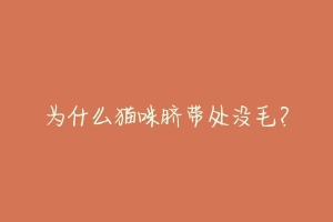 为什么猫咪脐带处没毛?-动物百科