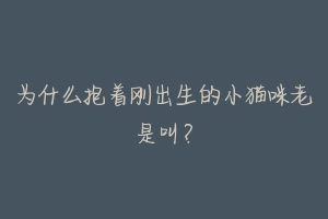 为什么抱着刚出生的小猫咪老是叫？-动物百科