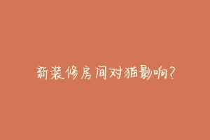 新装修房间对猫影响?-动物百科