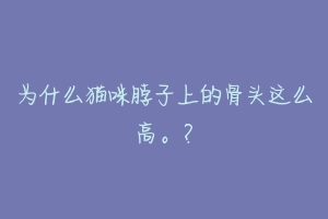 为什么猫咪脖子上的骨头这么高。?-动物百科