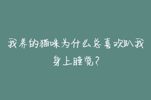 我养的猫咪为什么总喜欢趴我身上睡觉?-动物百科