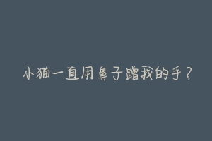 小猫一直用鼻子蹭我的手?-动物百科