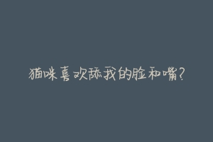 猫咪喜欢舔我的脸和嘴?-动物百科