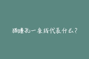 猫瞳孔一条线代表什么?-动物百科