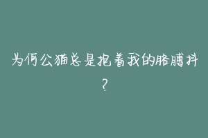 为何公猫总是抱着我的胳膊抖?-动物百科
