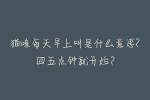 猫咪每天早上叫是什么意思?四五点钟就开始?-动物百科