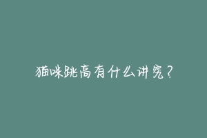 猫咪跳高有什么讲究?-动物百科