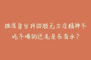 猫浑身发抖四肢无力没精神不吃不喝的还老是在有水?-动物百科