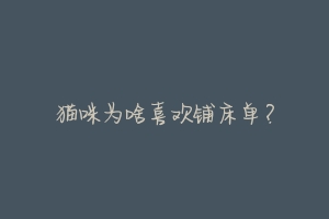 猫咪为啥喜欢铺床单?-动物百科