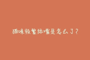 猫咪频繁舔嘴是怎么了？-动物百科