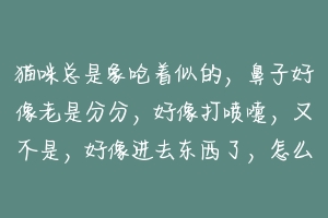 猫咪总是象呛着似的,鼻子好像老是分分,好像打喷嚏,又不是,好像进去东西了,怎么办?-动物百科