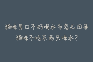 猫咪胃口不好喝水多怎么回事猫咪不吃东西只喝水?-动物百科