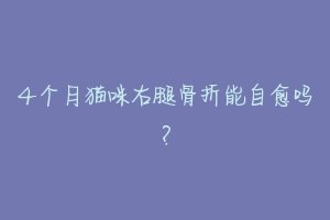 4个月猫咪右腿骨折能自愈吗?-动物百科