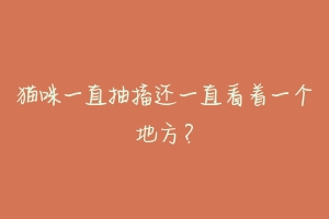 猫咪一直抽搐还一直看着一个地方?-动物百科