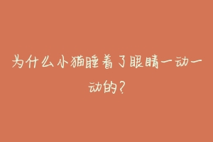 为什么小猫睡着了眼睛一动一动的?-动物百科
