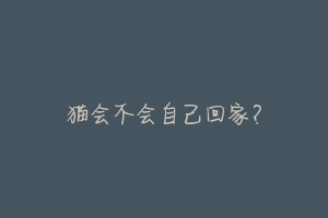 猫会不会自己回家?-动物百科