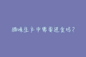 猫咪生产中需要进食吗?-动物百科