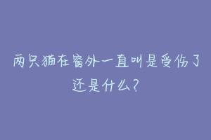 两只猫在窗外一直叫是受伤了还是什么?-动物百科