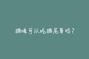 猫咪可以吃猫尾草吗？-动物百科