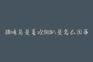 猫咪总是喜欢侧趴是怎么回事-动物百科