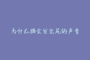 为什么猫会发出屁的声音-动物百科