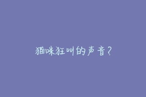 猫咪狂叫的声音？-动物百科