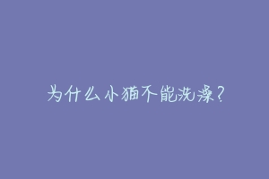 为什么小猫不能洗澡？-动物百科