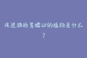 促进猫肠胃蠕动的植物是什么?-动物百科